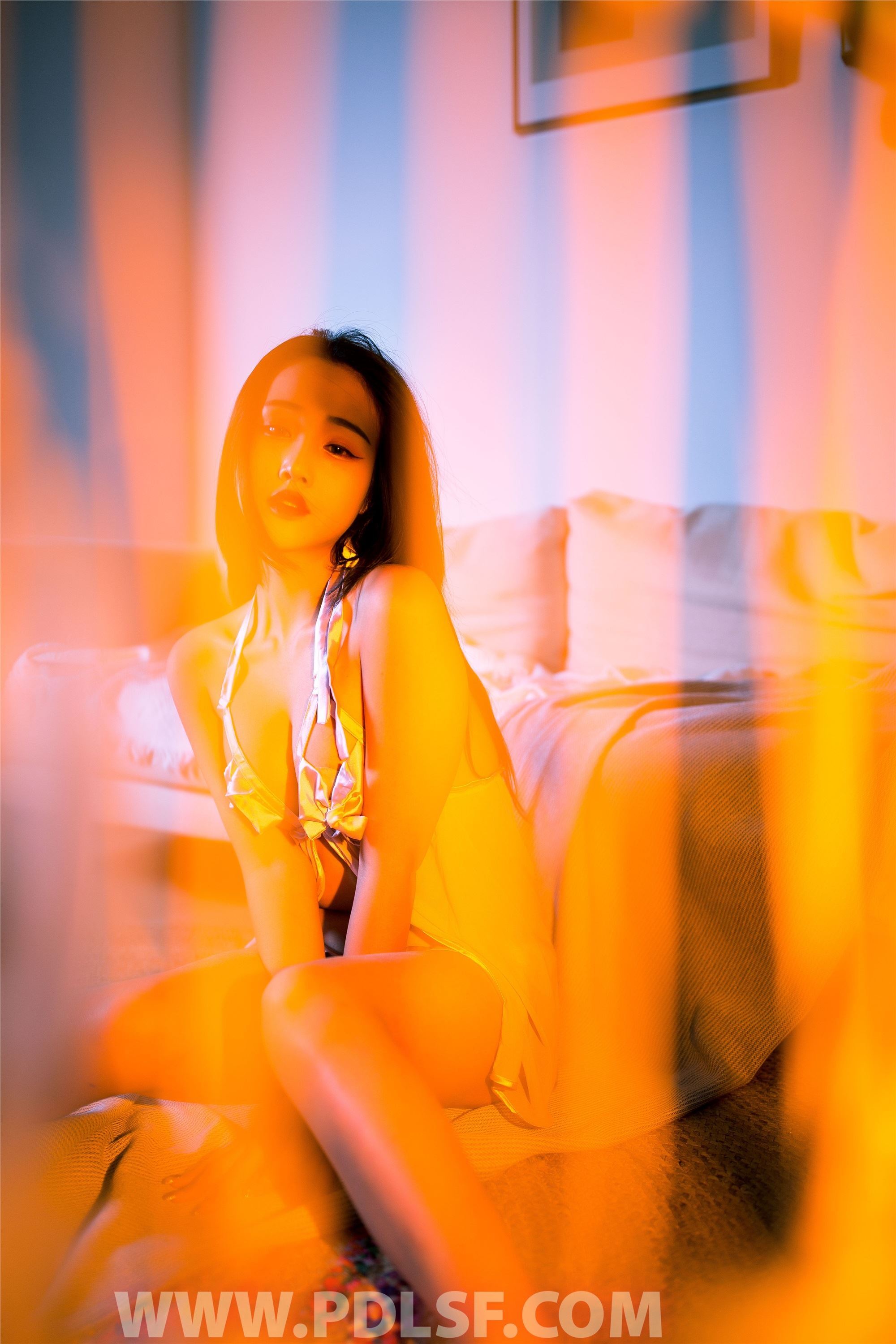 PDL潘多拉 2020.01.10 专辑No.265